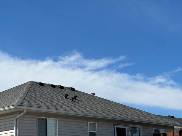 Best Roof Coating and Sealing  in Amity, OR